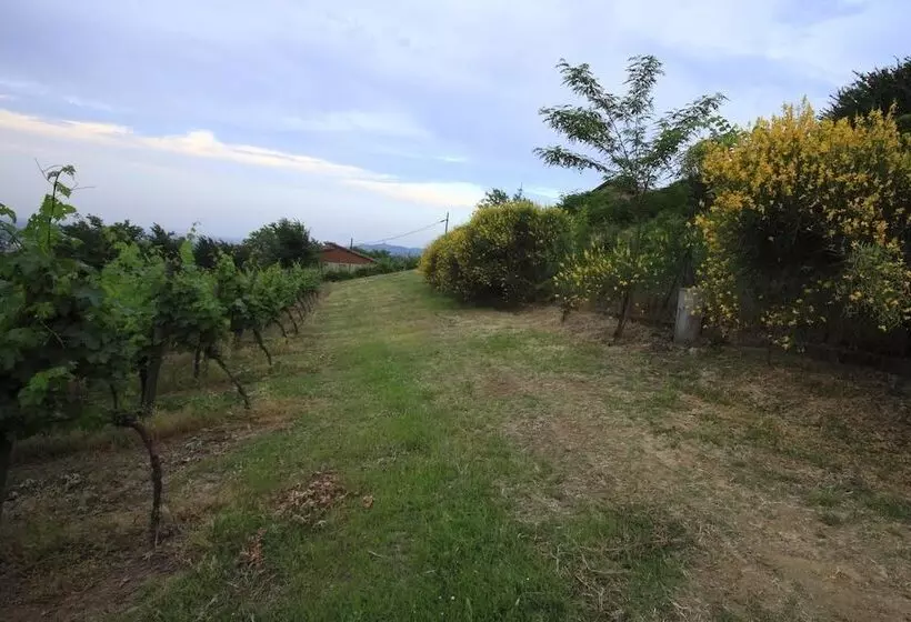 Agriturismo Gaggioli Borgo Delle Vigne