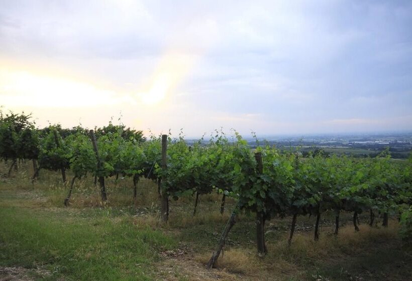 Agriturismo Gaggioli Borgo Delle Vigne