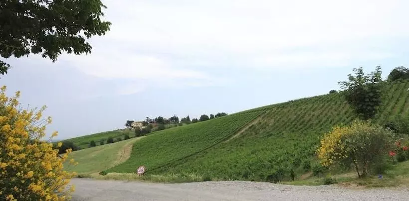 Agriturismo Gaggioli Borgo Delle Vigne