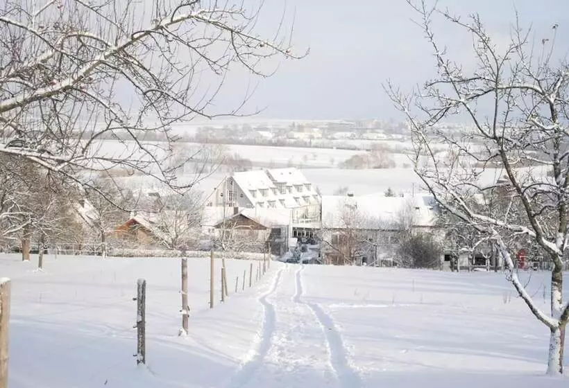 בית מלון כפרי Alber