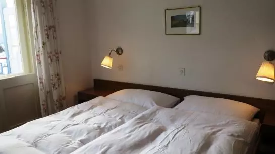 Hotel Alpina