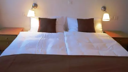 Hotel Alpina