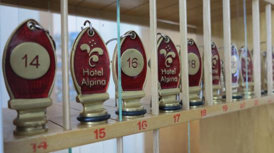 호텔 Alpina