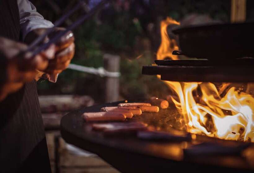 Chalet Hotel Svizzero