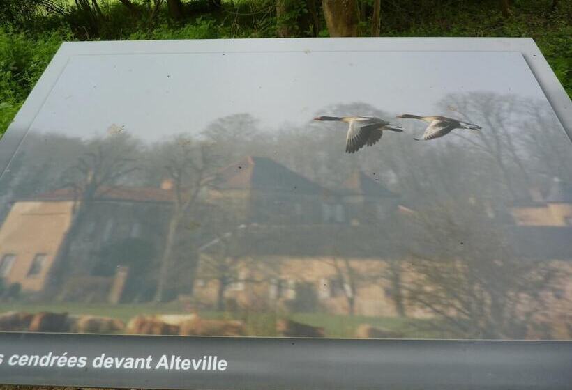 ホテル Château D'alteville