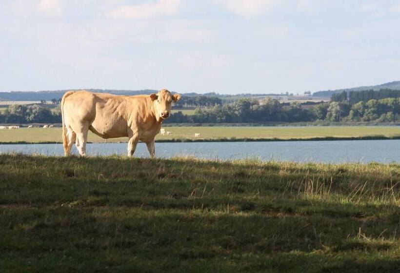 ホテル Château D'alteville