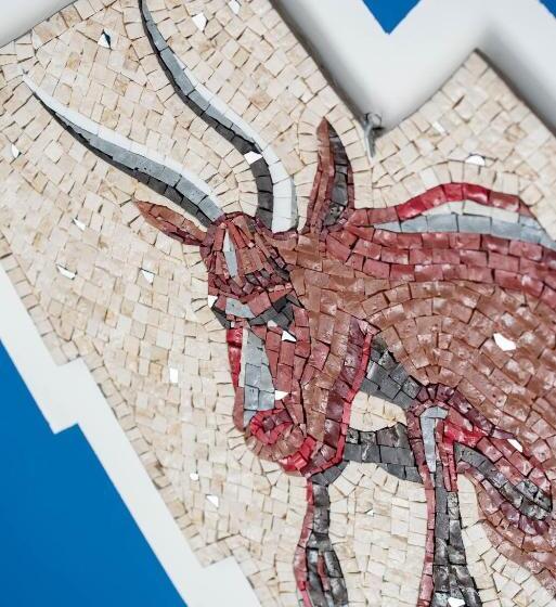 Hotel La Casa Delle Stelle