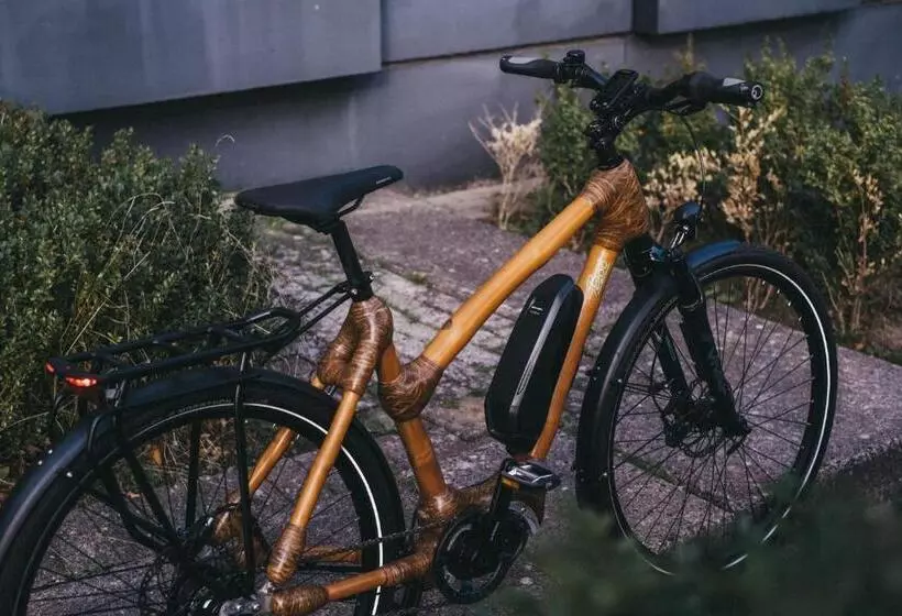 Отель Ole Liese