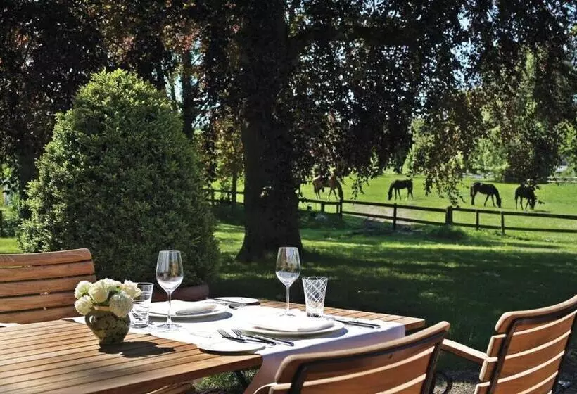 Отель Ole Liese