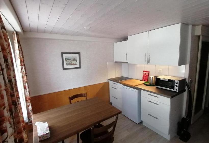 호텔 Rössli Apartment
