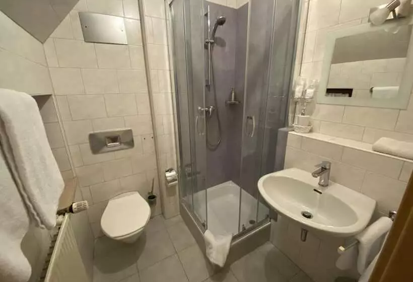 Пансион Wilder Mann