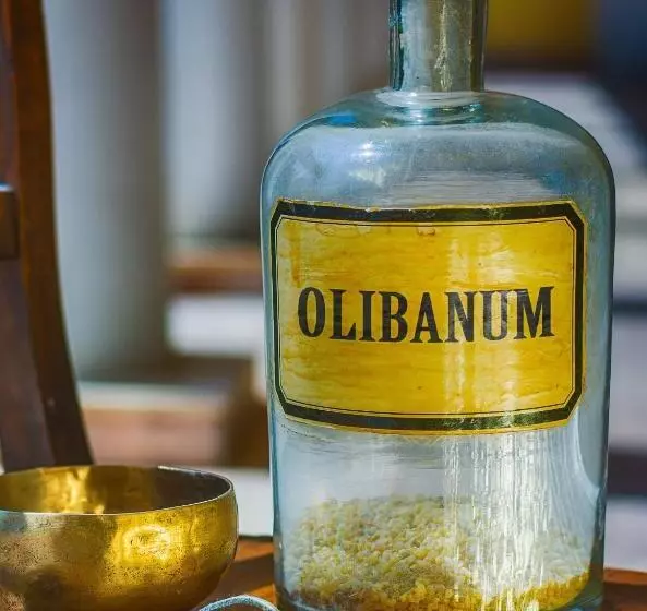 اقامتگاه Wellness Hotel La Passionaria