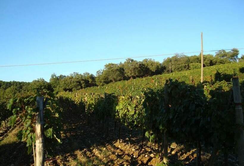 호텔 Agriturismo Il Villino