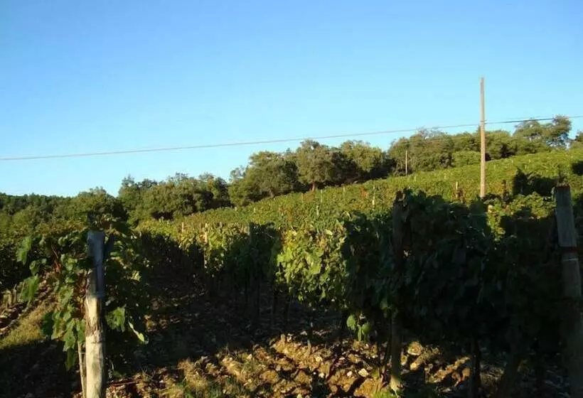 Отель Agriturismo Il Villino