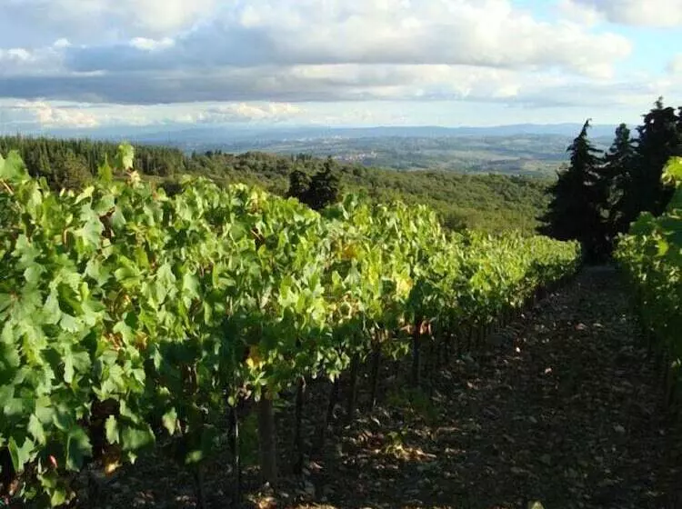 Отель Agriturismo Il Villino