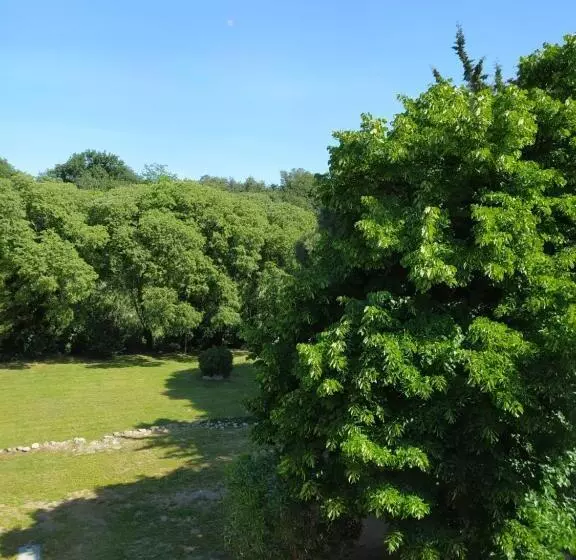 ホテル Auberge Du Roua