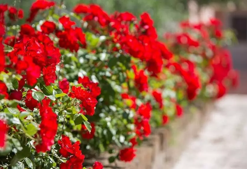 酒店 Cà Masawalsa