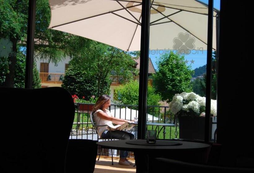 Отель Il Piccolo Dolomiti Resort