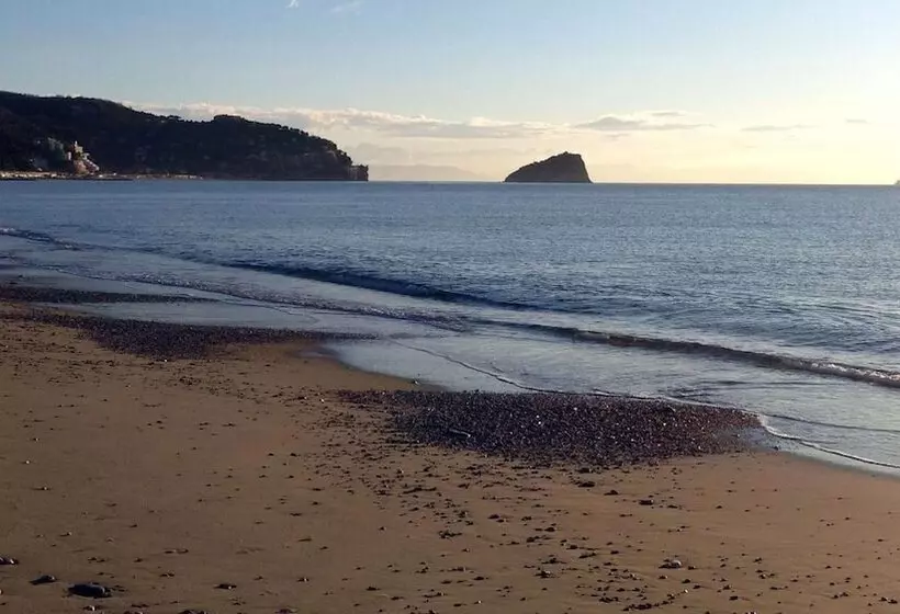 ホテル Mediterranée