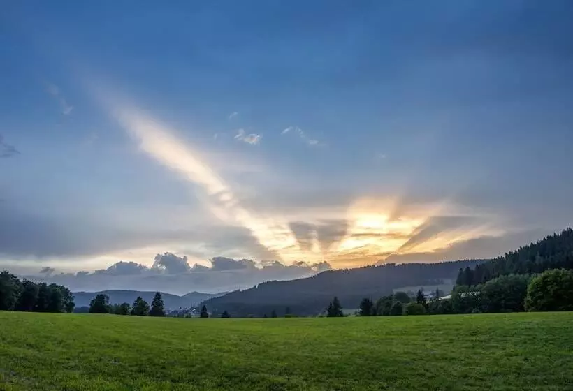 호텔 Vier Jahreszeiten Am Schluchsee