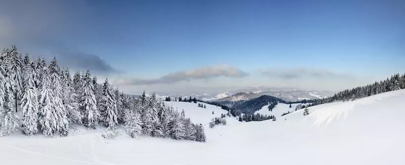 호텔 Vier Jahreszeiten Am Schluchsee