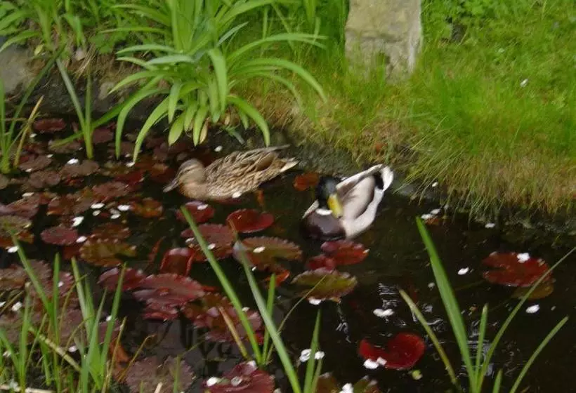Apart Landhaus Lichterfelde