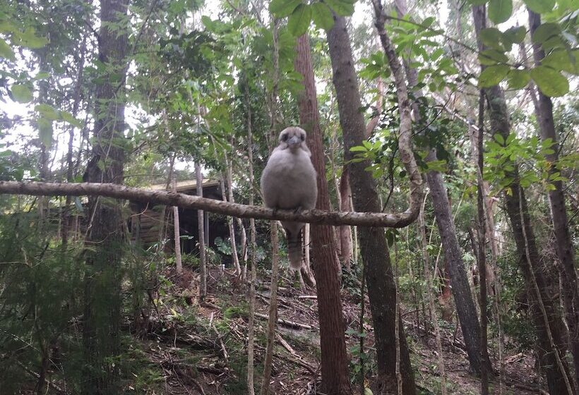 Byron Bay Rainforest Resort
