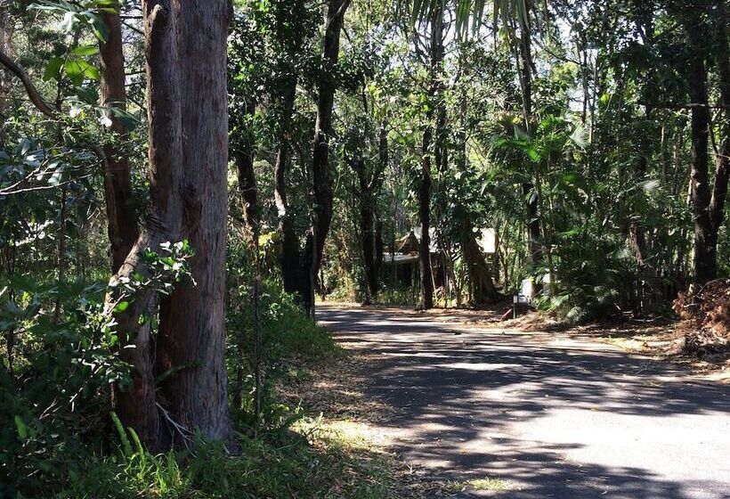 Byron Bay Rainforest Resort