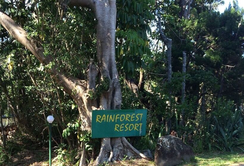 Byron Bay Rainforest Resort