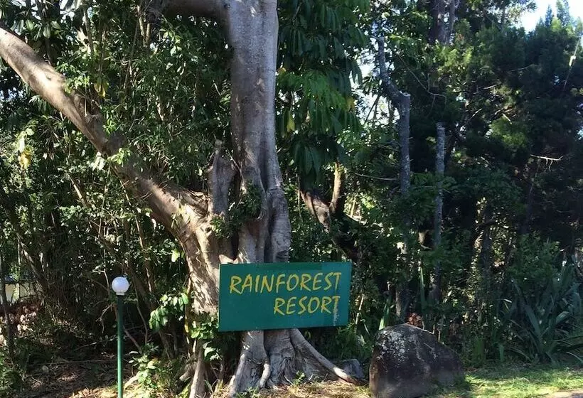Byron Bay Rainforest Resort
