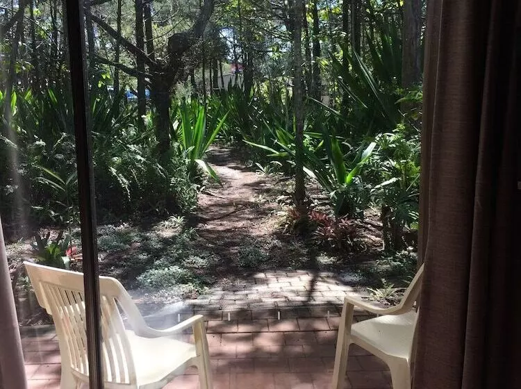 Byron Bay Rainforest Resort