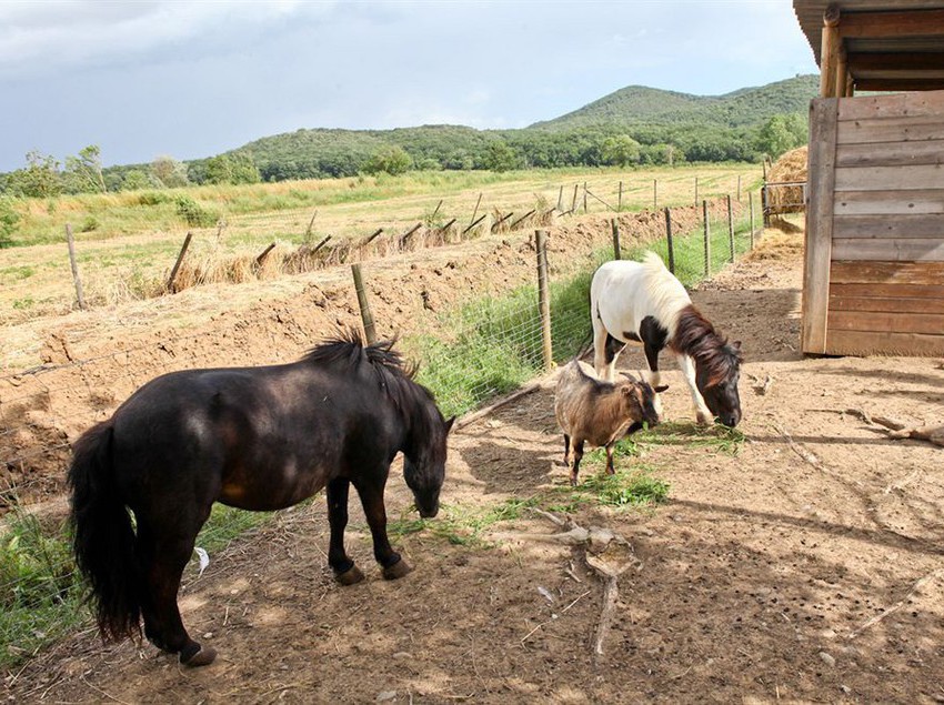 Agriturismo Da Lorena