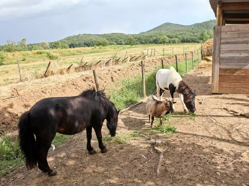 Agriturismo Da Lorena