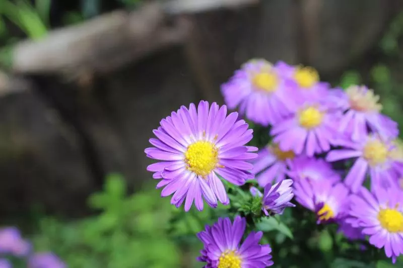 Otel Casa Grande Bambito Resort