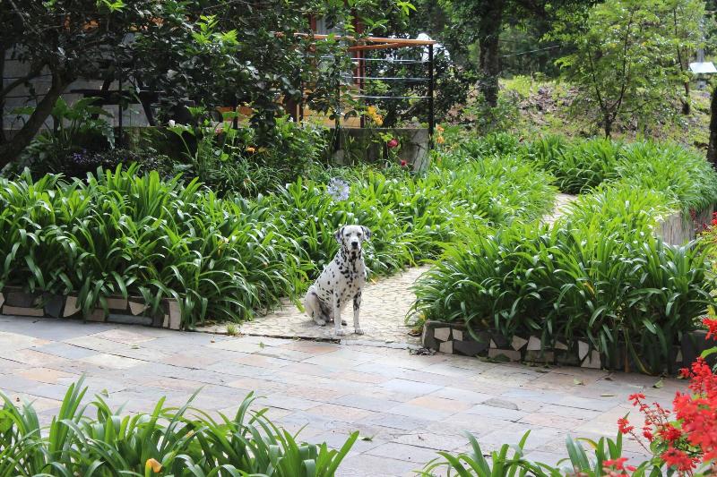 Hotel Casa Grande Bambito Resort