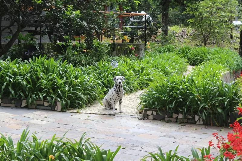 Otel Casa Grande Bambito Resort