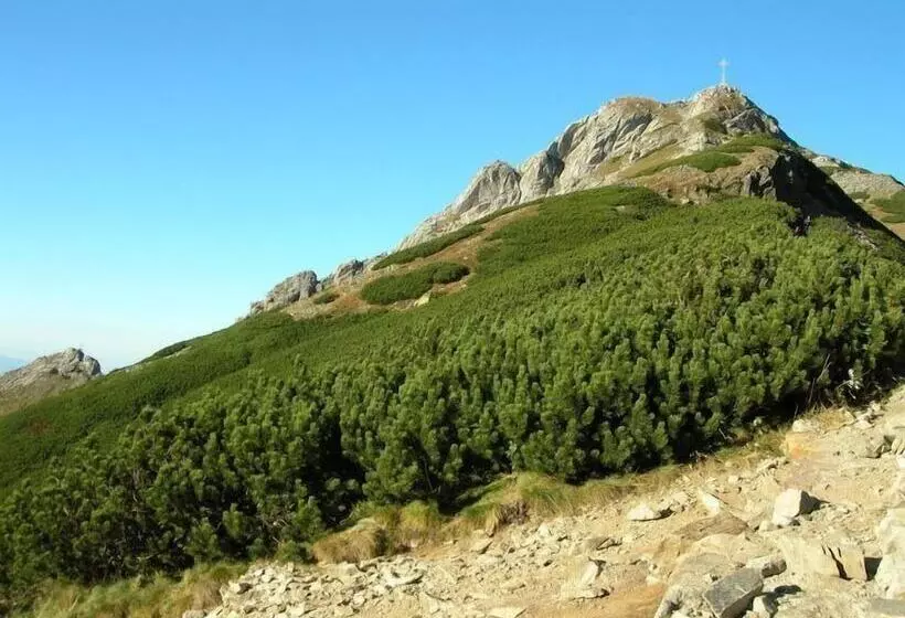 호텔 Geovita Zakopane