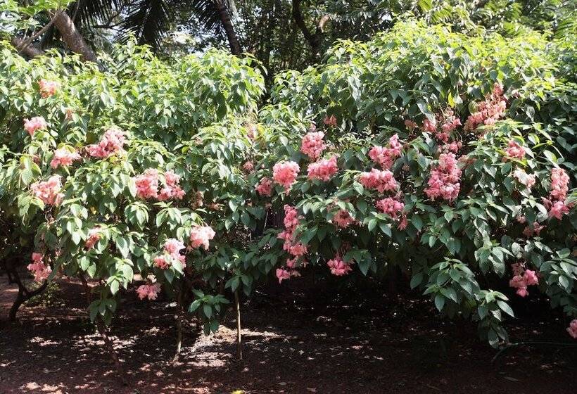 فندق Presa Di Goa