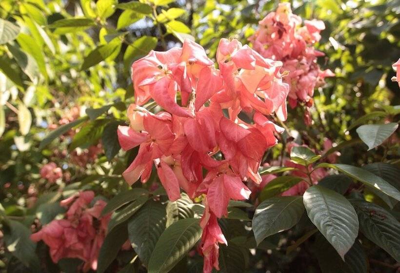 فندق Presa Di Goa