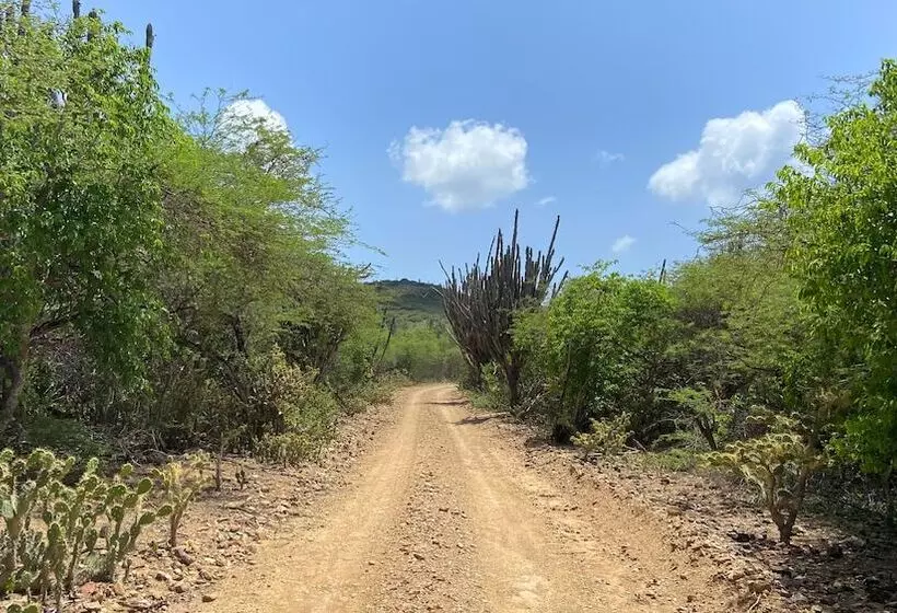 Sonrisa Boutique Hotel Adults Only