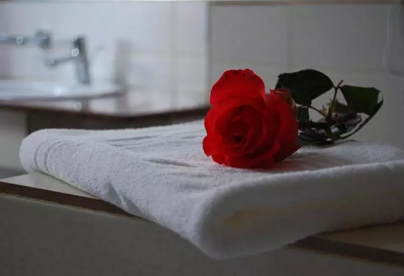 Hotelli Toacabellevue
