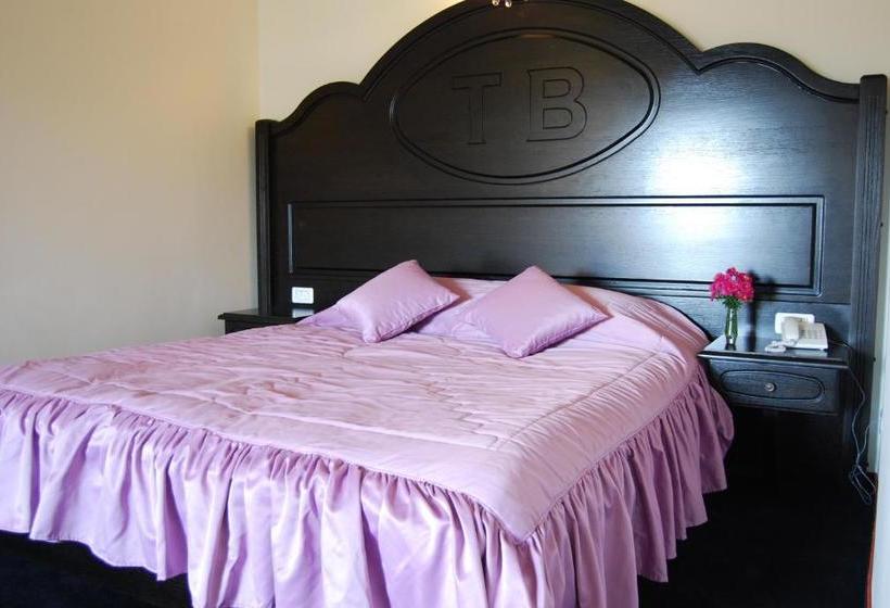 ホテル Toacabellevue