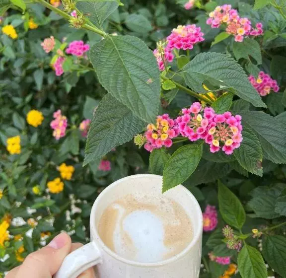 ベッドアンドブレックファースト Villa Derna Marina Di Pietrasanta