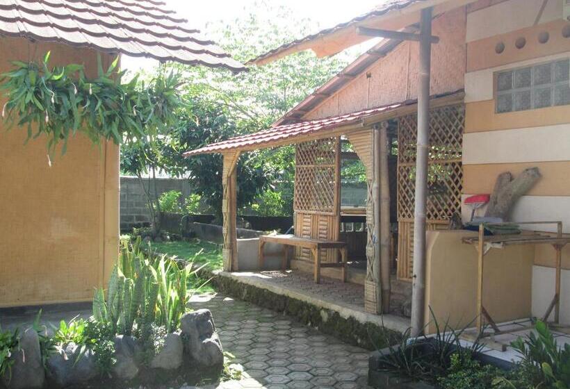 Pension Gypsi Guest House