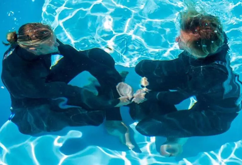 Retkeilymaja Ahoy Surf House