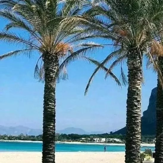 Aamiaismajoitus (B&B) Affittacamere A Tre Minuti In Spiaggia Il Veliero