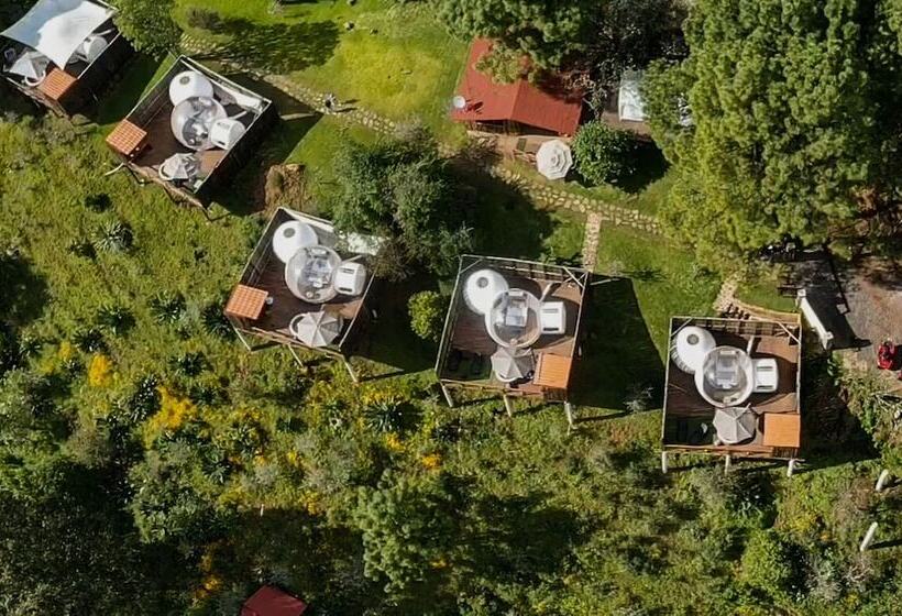 Hotel Kapsułowy La Estela Bubble Glamping