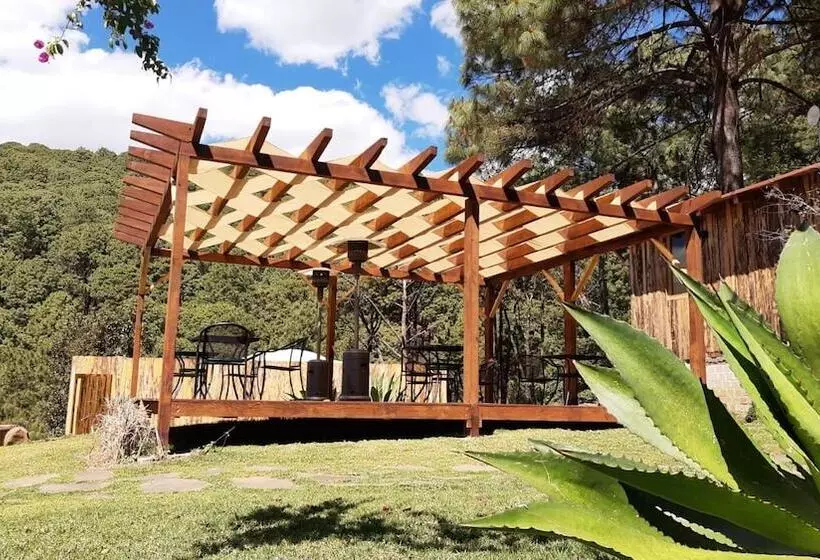 カプセルホテル La Estela Bubble Glamping