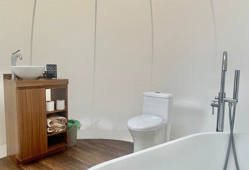 Hotel Kapsułowy La Estela Bubble Glamping