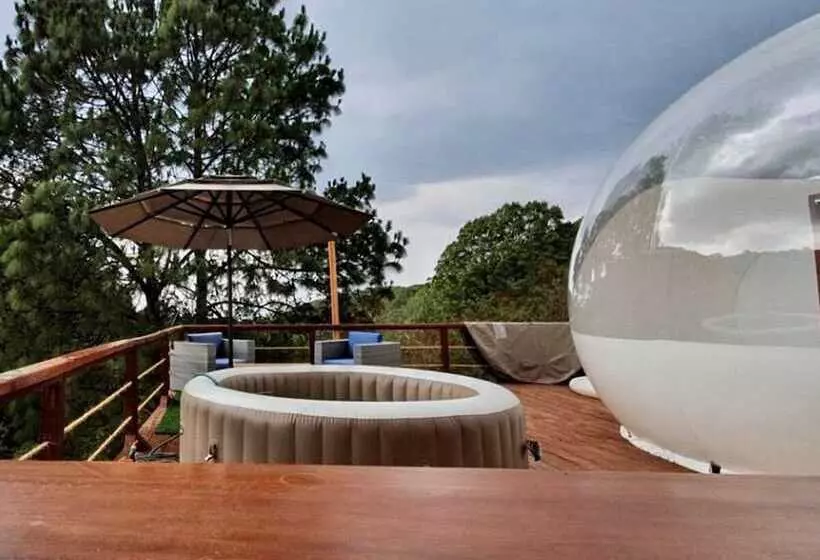 カプセルホテル La Estela Bubble Glamping